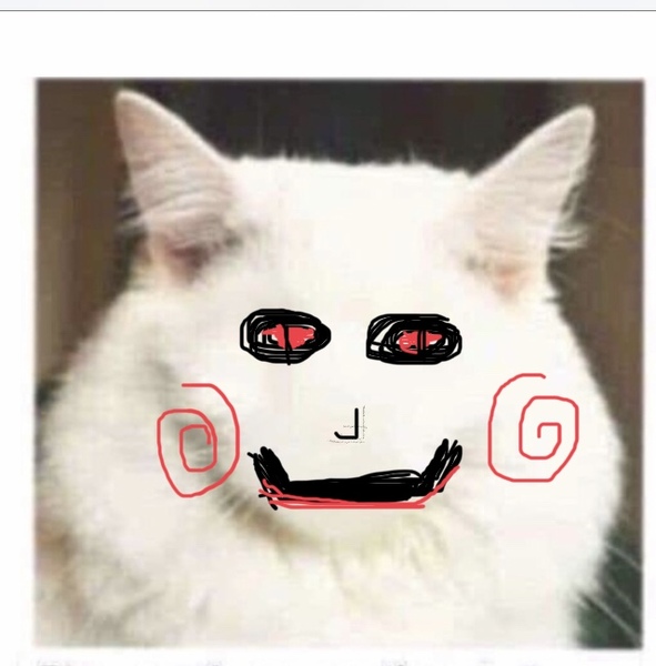 Draw a cat face challenge