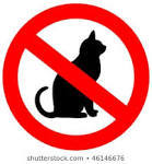 How do I persuade them to use the cat door?
