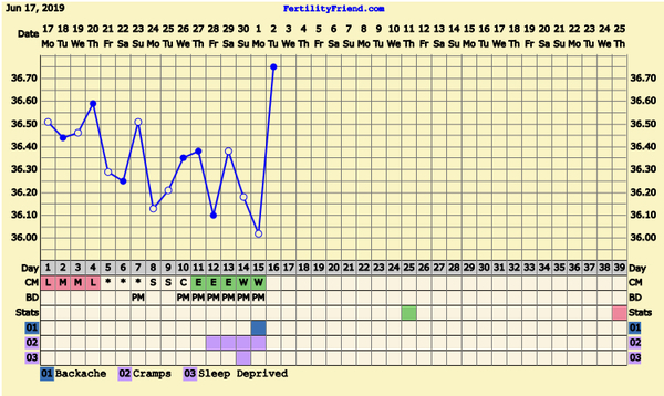 First Pregnancy Missed Miscarriage (Part III)