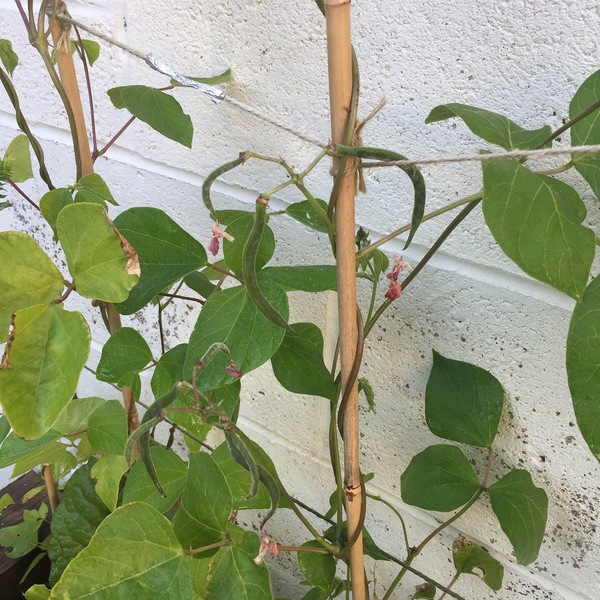 Join Money-saving May with the fantastic Frugaleers.