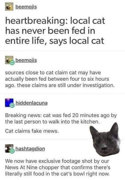 To be annoyed that my cat was "rescued"