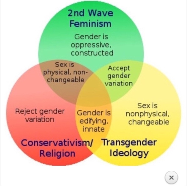 Stephen Whittle accusing GC feminists of being funded by the 'evangelical right wing'