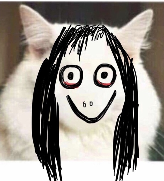 Draw a cat face challenge