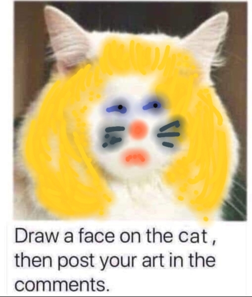 Draw a cat face challenge