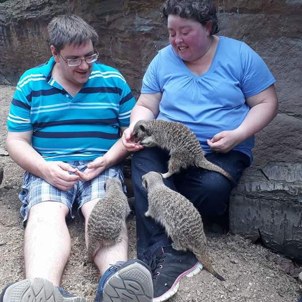 Animal encounters