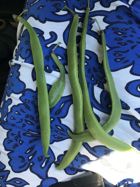 Show me your brexit stockpiles cont...