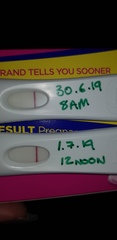 The Graduates of TTC after pregnancy loss thread