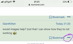 Various site functions not working on iPhone