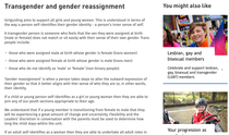 Girl guiding strategy survey