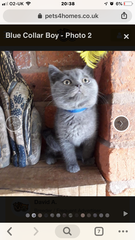 Wankerbastards and summer sunshine will make us want the bloody wine. But tryers to be dryers won't give up, and ice cold becks blue we will sup.