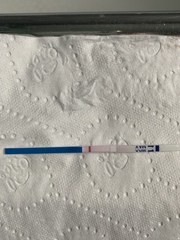 Bfp or bfn