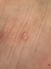 Anyone know what this is?