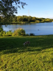 Wankerbastards will upset us that try, but we will still be dry. Or dryer at a push. It's a good job we are not in a rush.