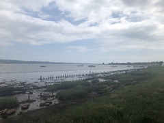 Any Witches Here? Part 8.