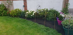 How can I make this flowerbed look better?