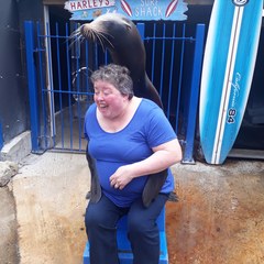 Animal encounters
