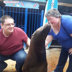 Animal encounters