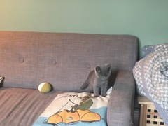 Wankerbastards and summer sunshine will make us want the bloody wine. But tryers to be dryers won't give up, and ice cold becks blue we will sup.