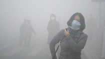 I am terrified of the climate emergency but more terrified by how ambivalent others seem to be about it!