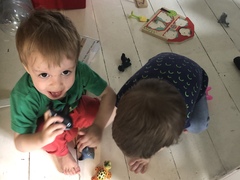 How do i find this toy? Help!