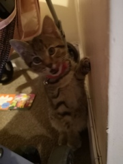 Look at my new baby