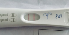 Almost 4 weeks after miscarriage I got my BFP! 11dpo