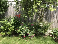 How can I make this flowerbed look better?