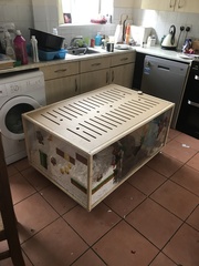 To let my hamster be a house hamster?