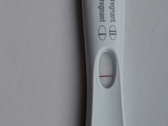 Wtf is going on with this test?