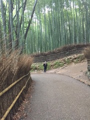 Tokyo - in 1 day what would you do?