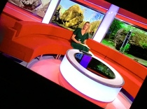 Green dress anyone seen it.  BBC north wet tonight (picture)