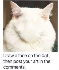 Draw a cat face challenge