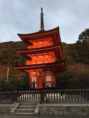 Tokyo - in 1 day what would you do?