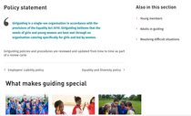 Girl guiding strategy survey
