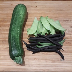 Allotment/Veg Patch Thread 14 ! growing into summer