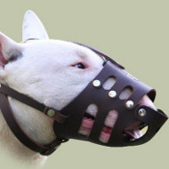 AIBU about dog at the park?