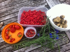 Allotment/Veg Patch Thread 14 ! growing into summer