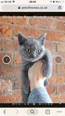 Wankerbastards and summer sunshine will make us want the bloody wine. But tryers to be dryers won't give up, and ice cold becks blue we will sup.