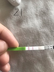 OPK