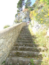 What are your top tips for visiting Sorrento?