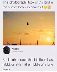 The Mega Meme Thread