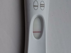 Wtf is going on with this test?