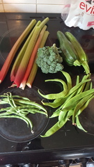 Allotment/Veg Patch Thread 14 ! growing into summer