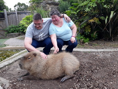 Animal encounters