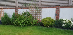 How can I make this flowerbed look better?