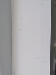 Not AIBU but help!!! House infested.