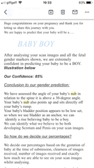 Nub/ skull theory
