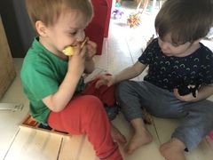 How do i find this toy? Help!