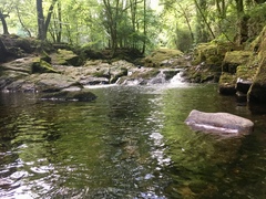 Any Witches Here? Part 9.