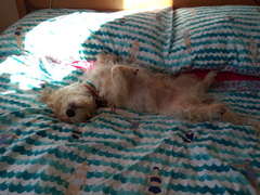 I'm cross that the clean bed luxury has been ruined